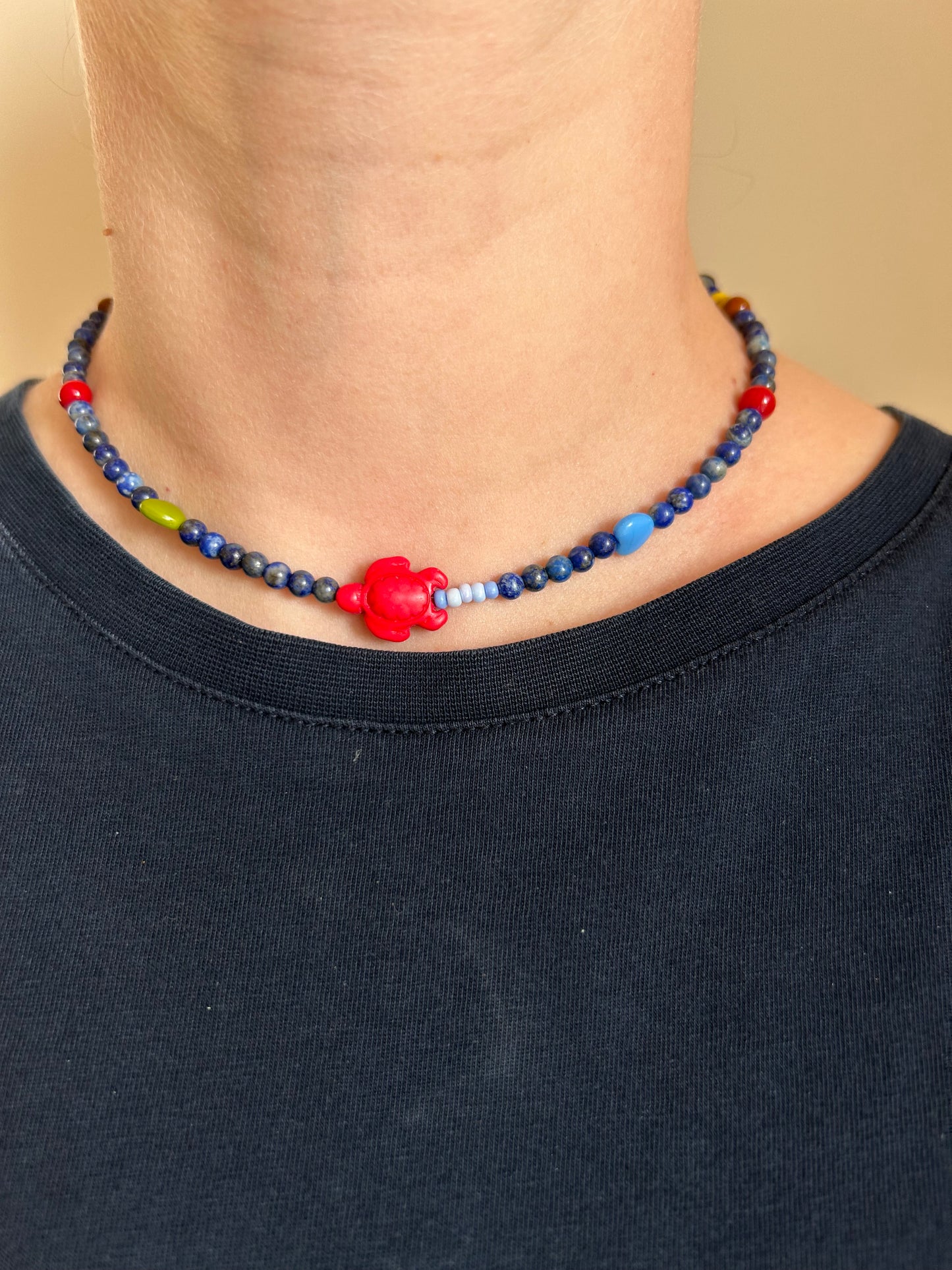 Red Turtle on the Road